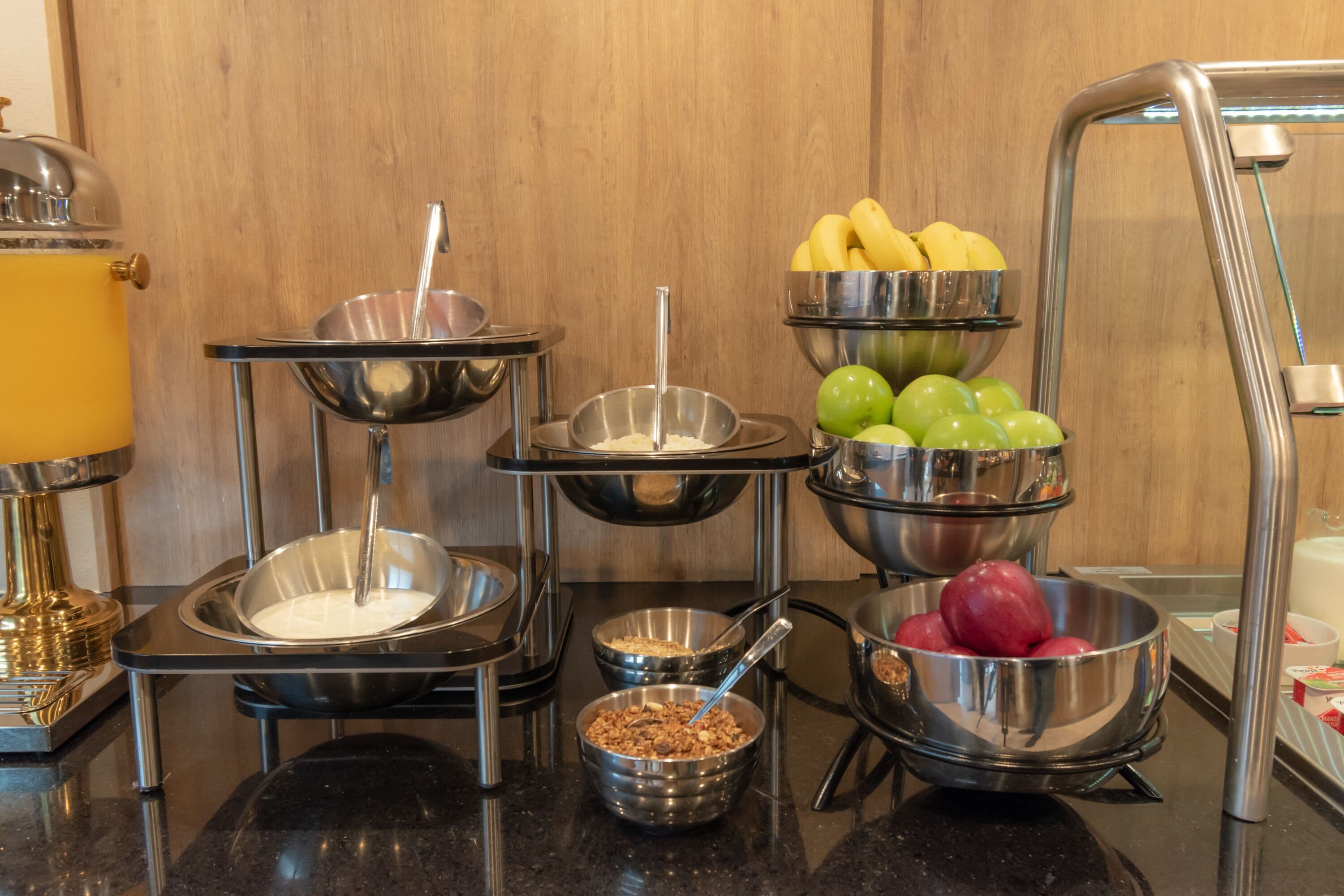 Foto - Highland Chihuahua