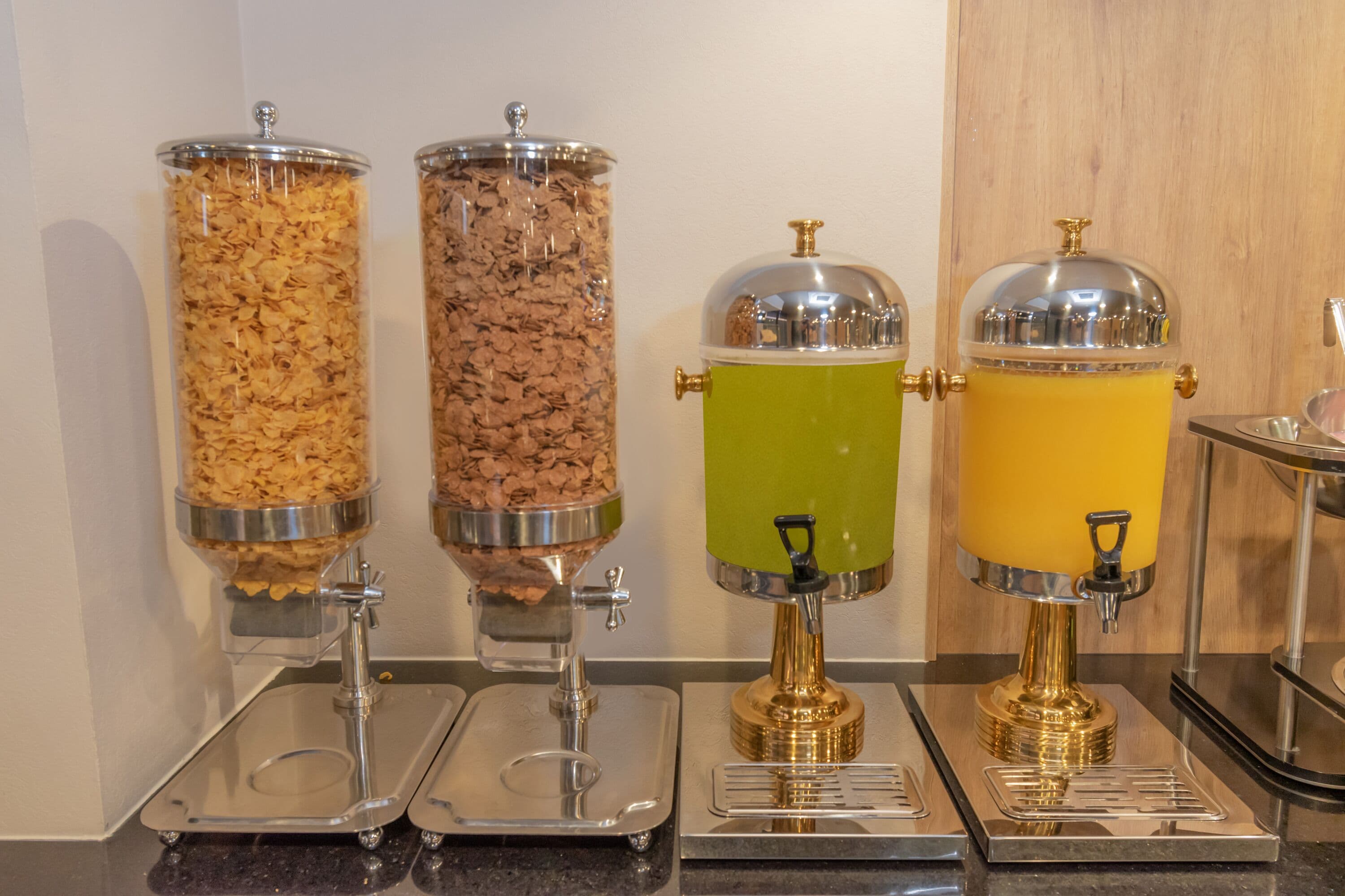 Foto - Highland Chihuahua