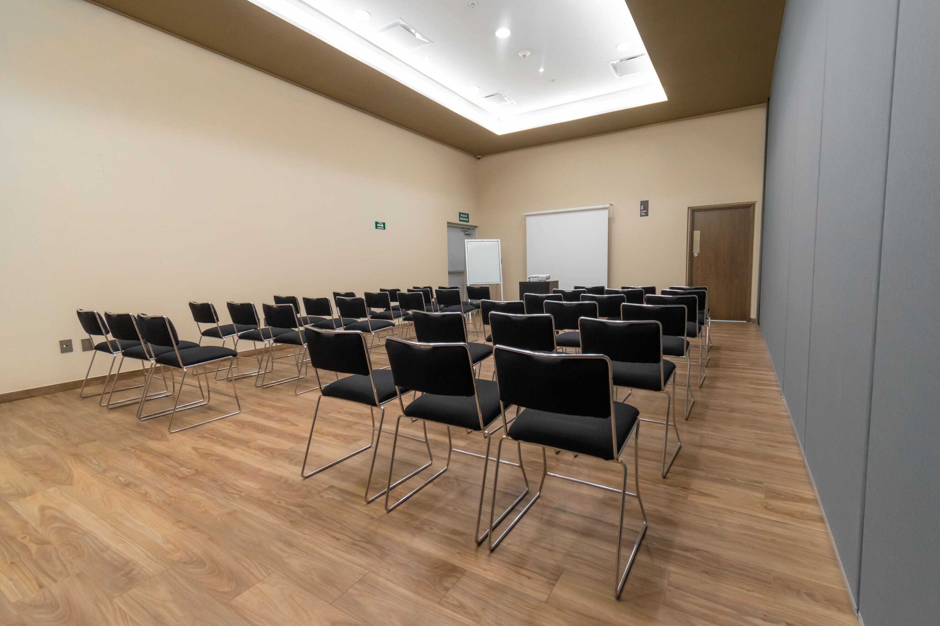 Foto - Highland Chihuahua