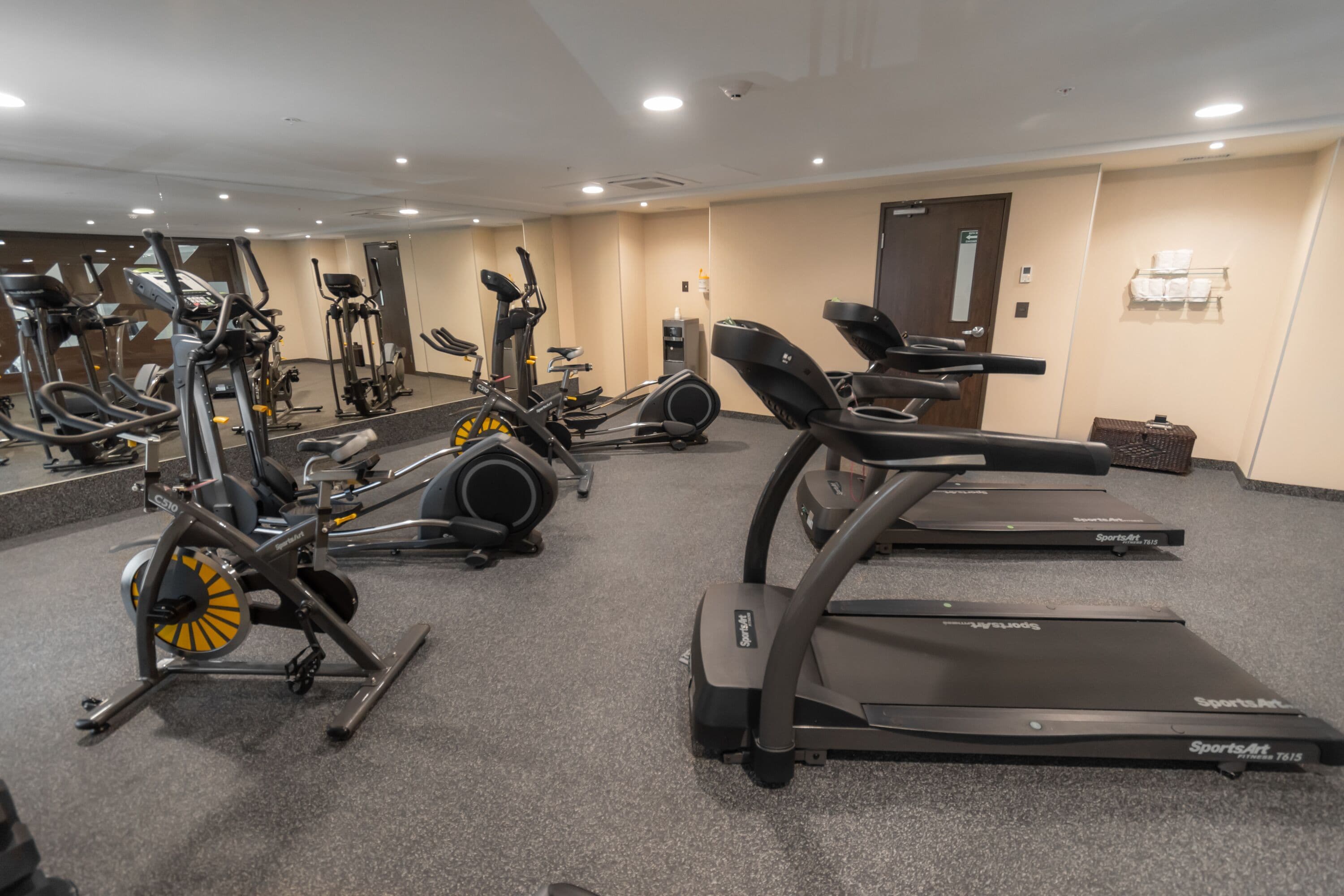 Foto - Highland Chihuahua