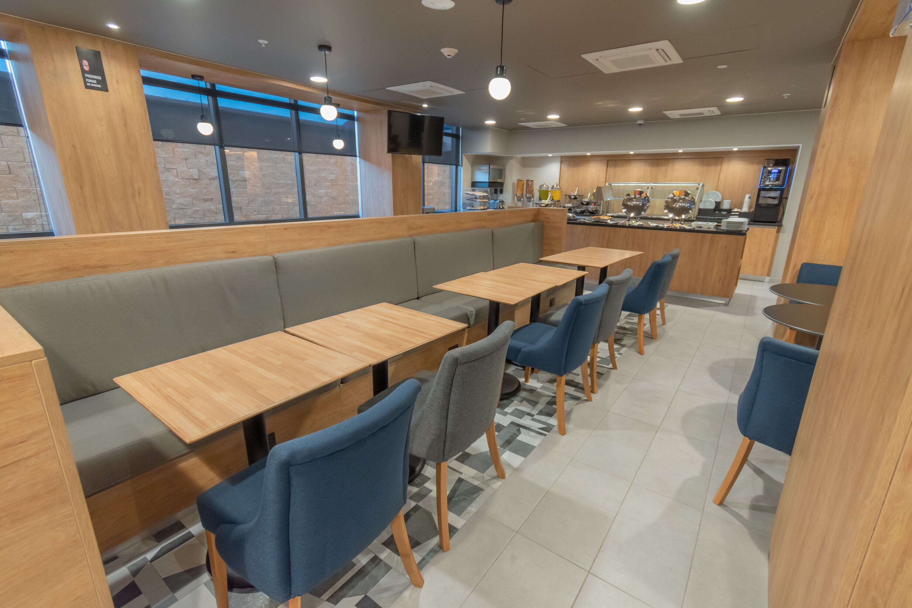 Foto - Highland Chihuahua