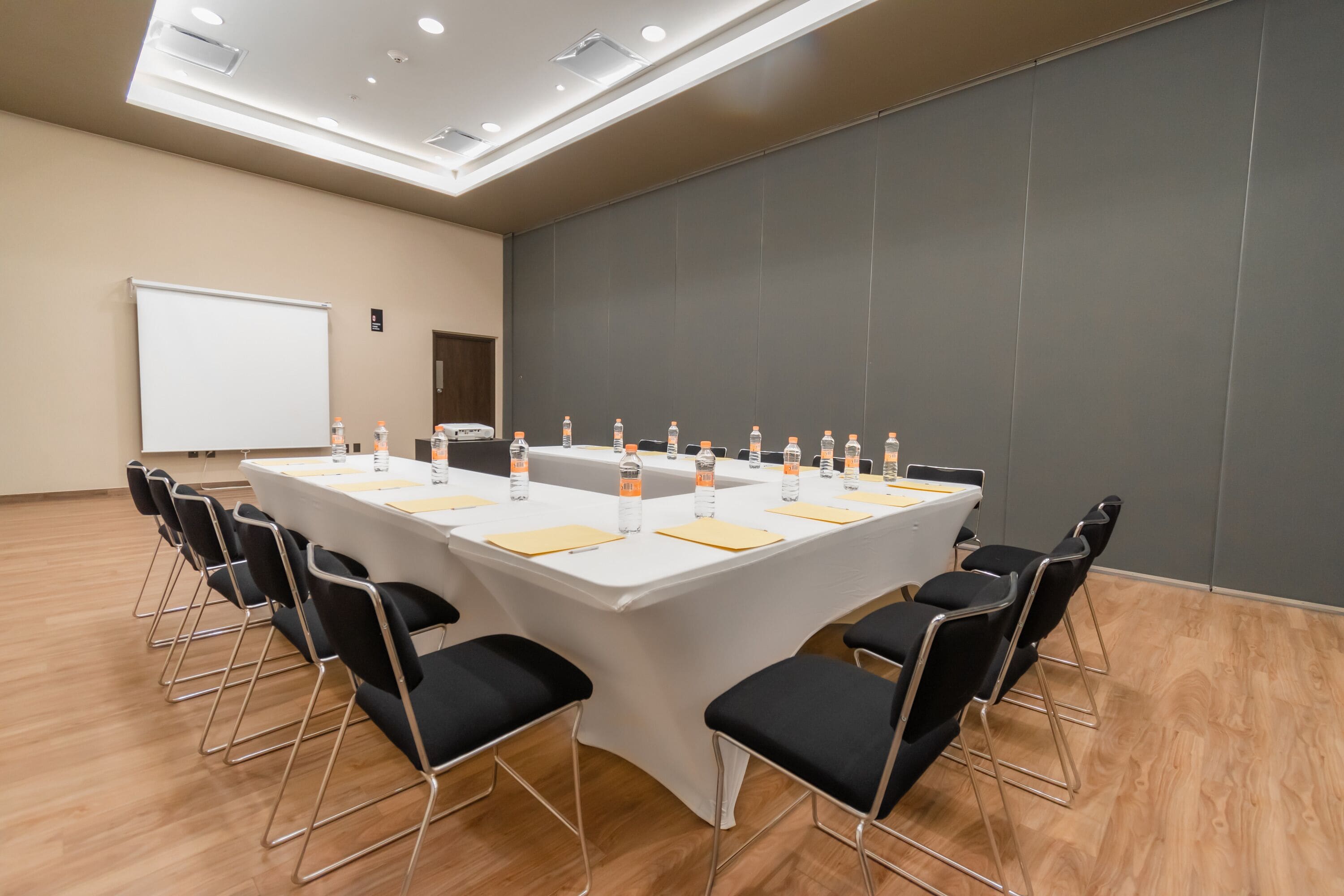 Foto - Highland Chihuahua