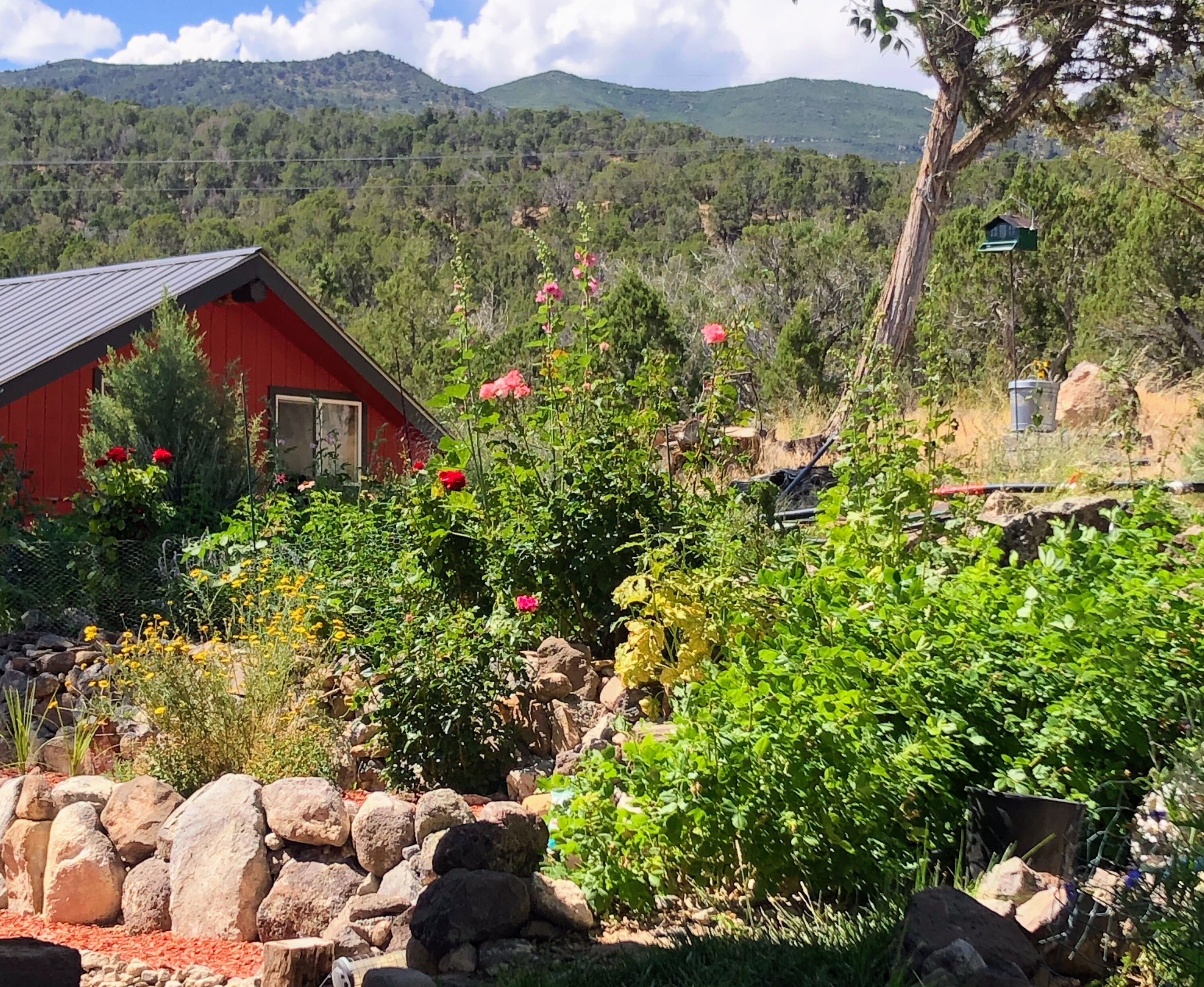 Charming guesthouse with panoramic views!