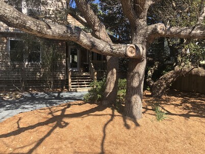 Garden Cottage By The Sea