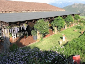 Property grounds - Hotel Sardus Pater (Fluminimaggiore)