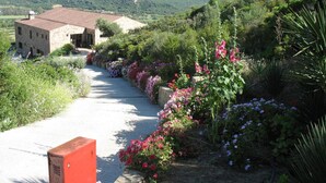 Edifici de pedra amb teulada aïllada, envoltat d'un jardí ple de plantes i flors, amb muntanyes al fons.