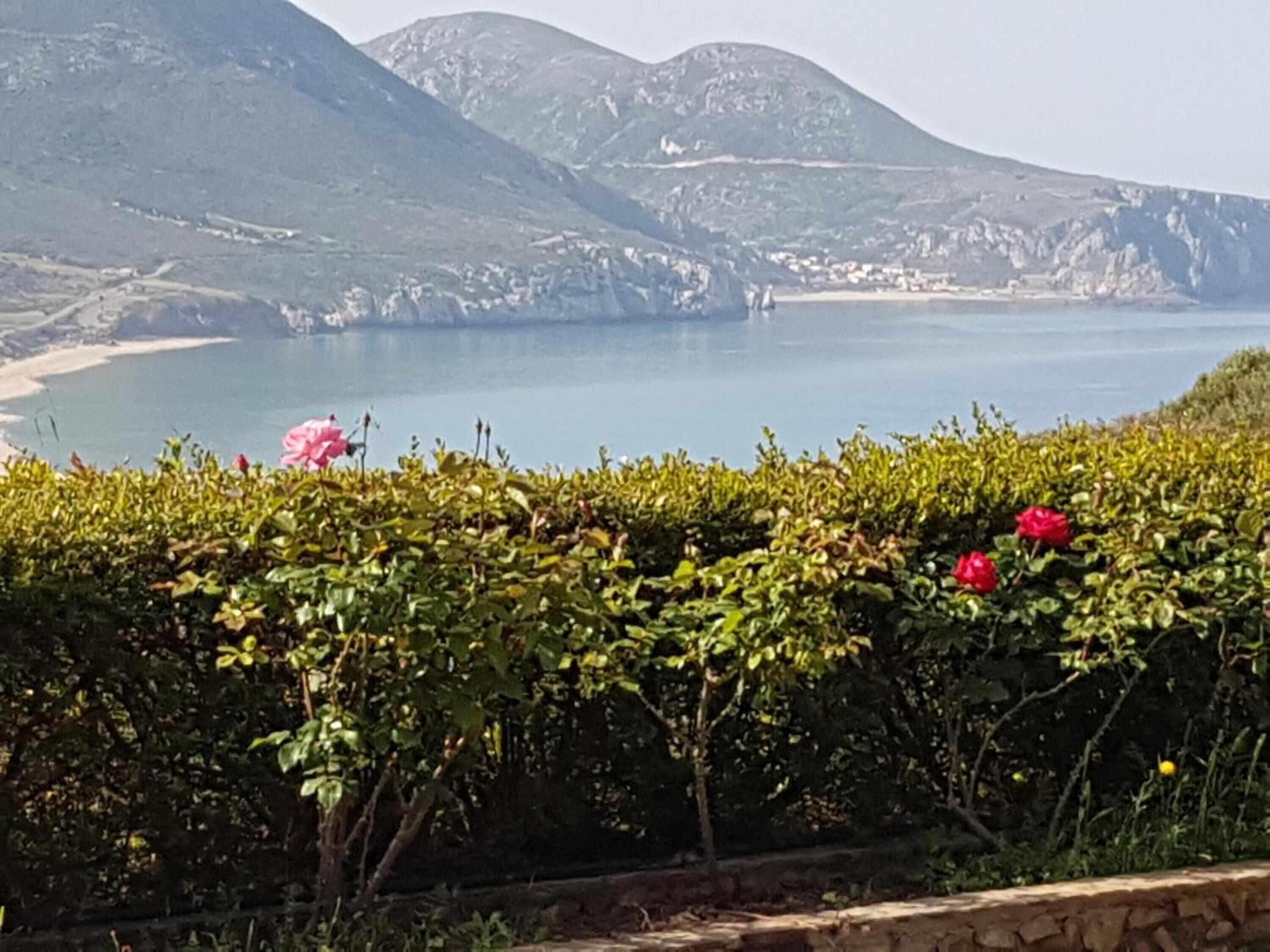 海灘