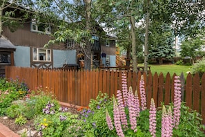 Property grounds - 3 Bedroom Apt in the Heart of Crested Butte! (Crested Butte)