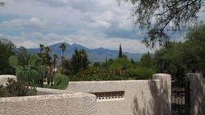 Paesaggio desertico con cactus, palme e montagne sullo sfondo.