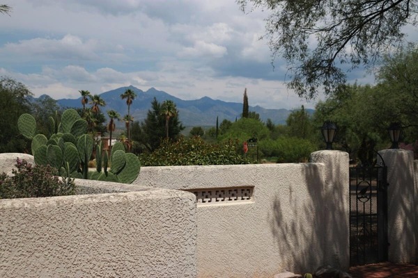 Front yard