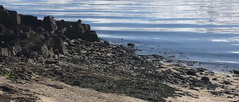 بالقرب من الشاطئ