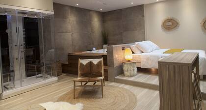 Loft grand confort avec Spa, Hammam et sauna privatif 2 à Reims