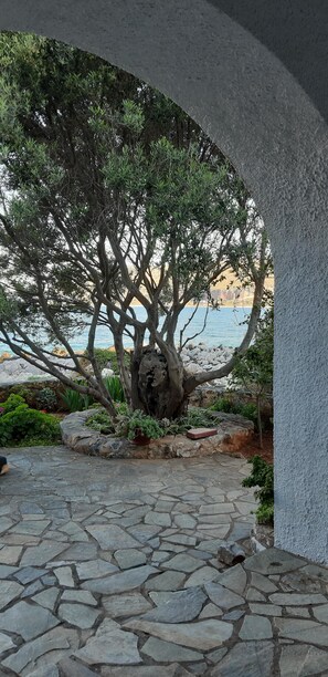 Property grounds - Beautiful & Charming Villa seafront in Limeni Mani, MHTE1248K9200032480 (Areopoli)