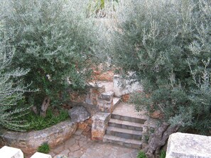Property grounds - Beautiful & Charming Villa seafront in Limeni Mani, MHTE1248K9200032480 (Areopoli)