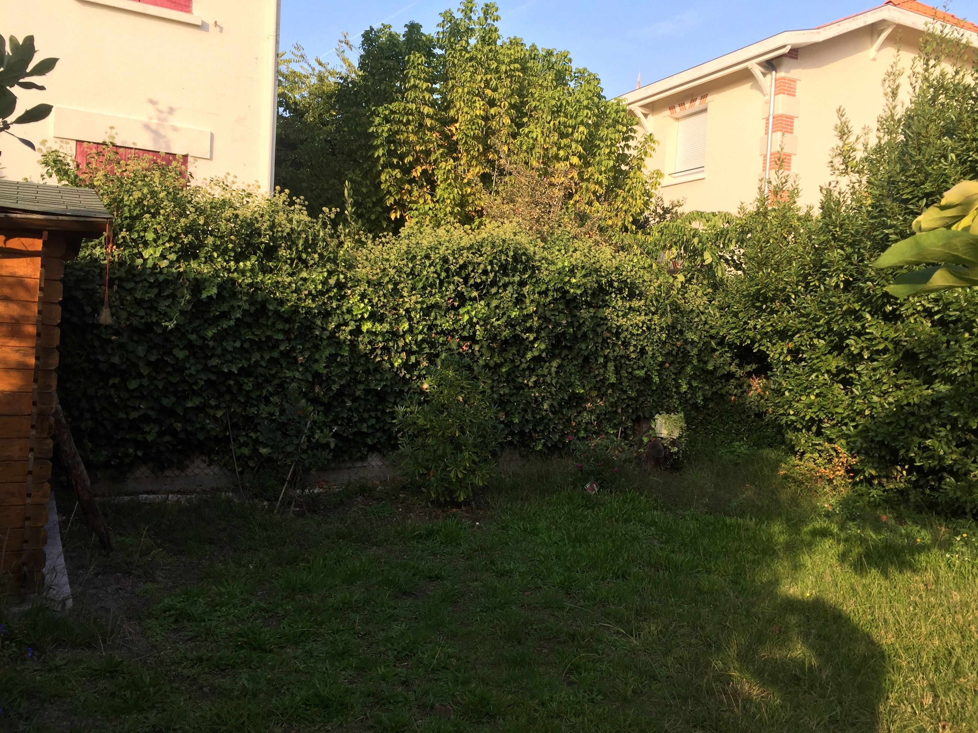 Een tuin met een haag, gras en een bakstenen muur.