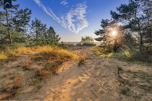 Vlak bij het strand