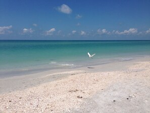 Playa en los alrededores, camastros y toallas de playa 