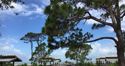 LOCATION! LOCATION! Walk to the beach, pier, golf, restaurants on Venice Island