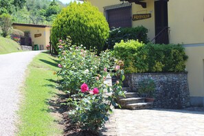 Àrea exterior de l'allotjament
