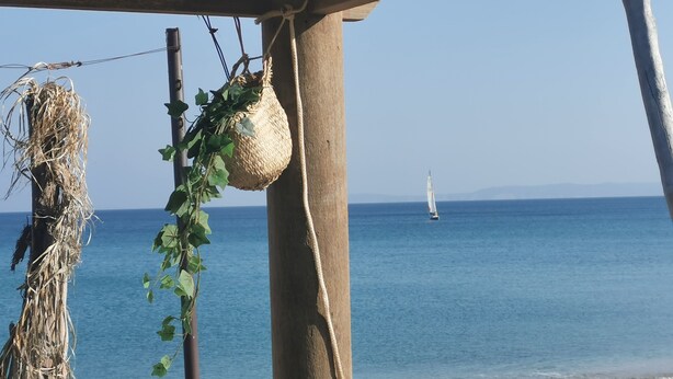 Une vue sur la plage avec un voilier sur l’eau, une plage et une structure ornée d’un panier suspendu et de plantes grimpantes.