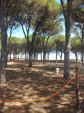 Área infantil