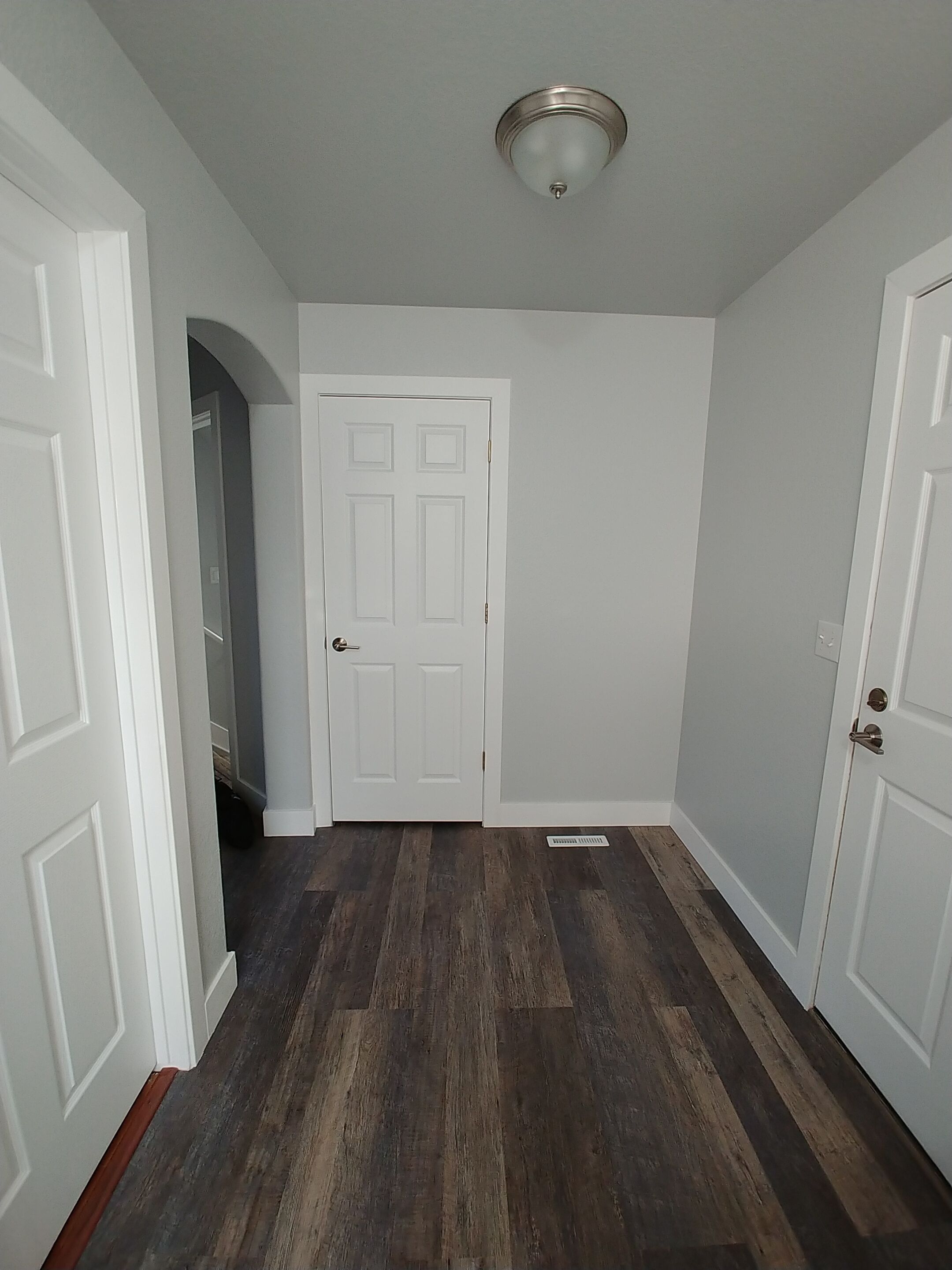 A hallway with a white door, a ceiling light fixture, and a dark wooden floor.