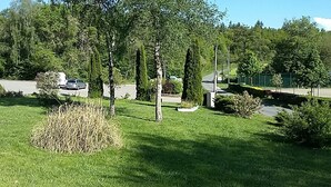 A grassy area with trees and a road.