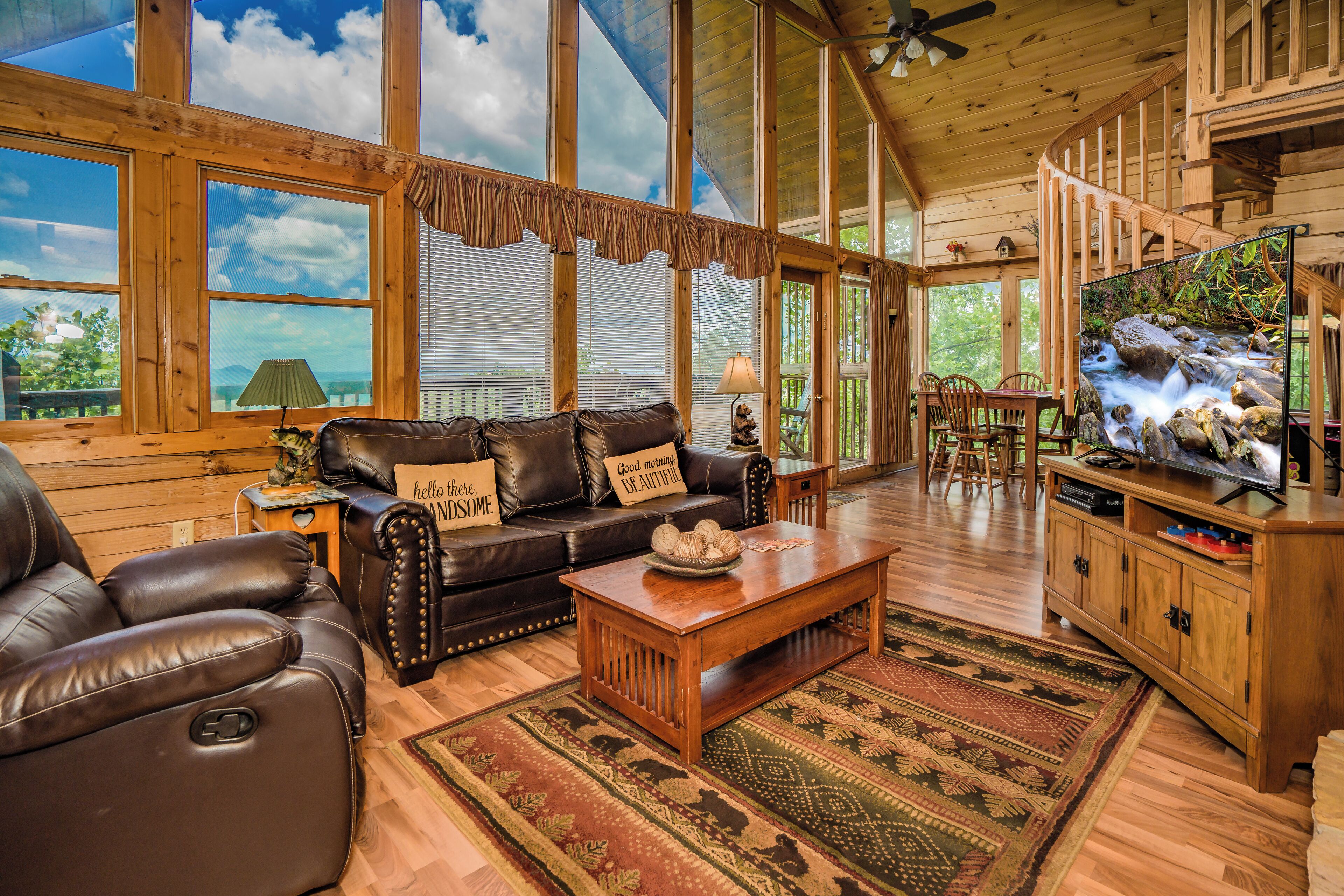 TV, fireplace, video games, DVD player