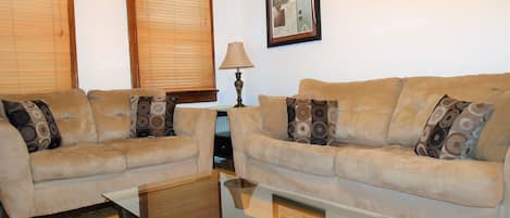 TV, DVD player, books, video library