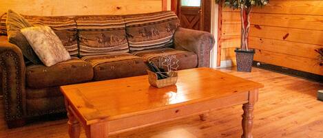 TV, fireplace, DVD player, books