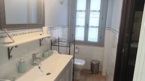 Shower, hair dryer, bidet, towels