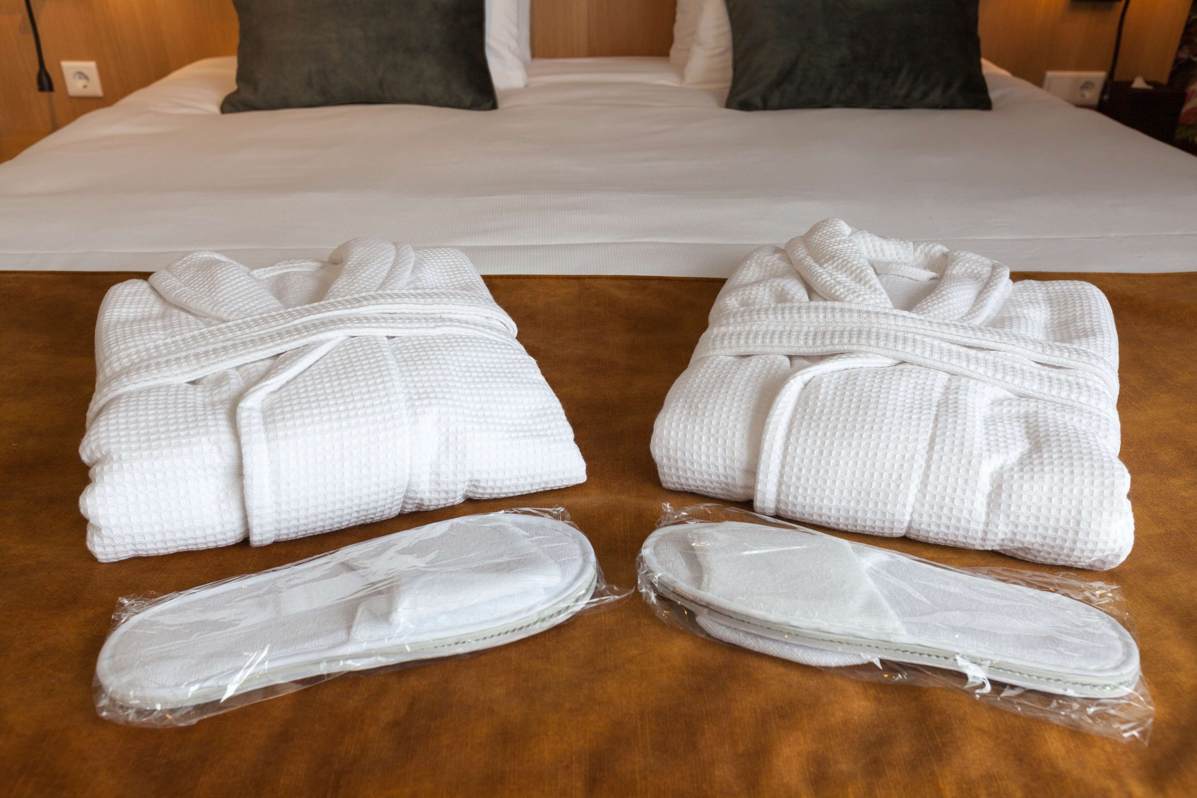 suite, 1 double bed, non smoking (with sofabed) | 1 bedroom, pillow-top beds, in-room safe, desk