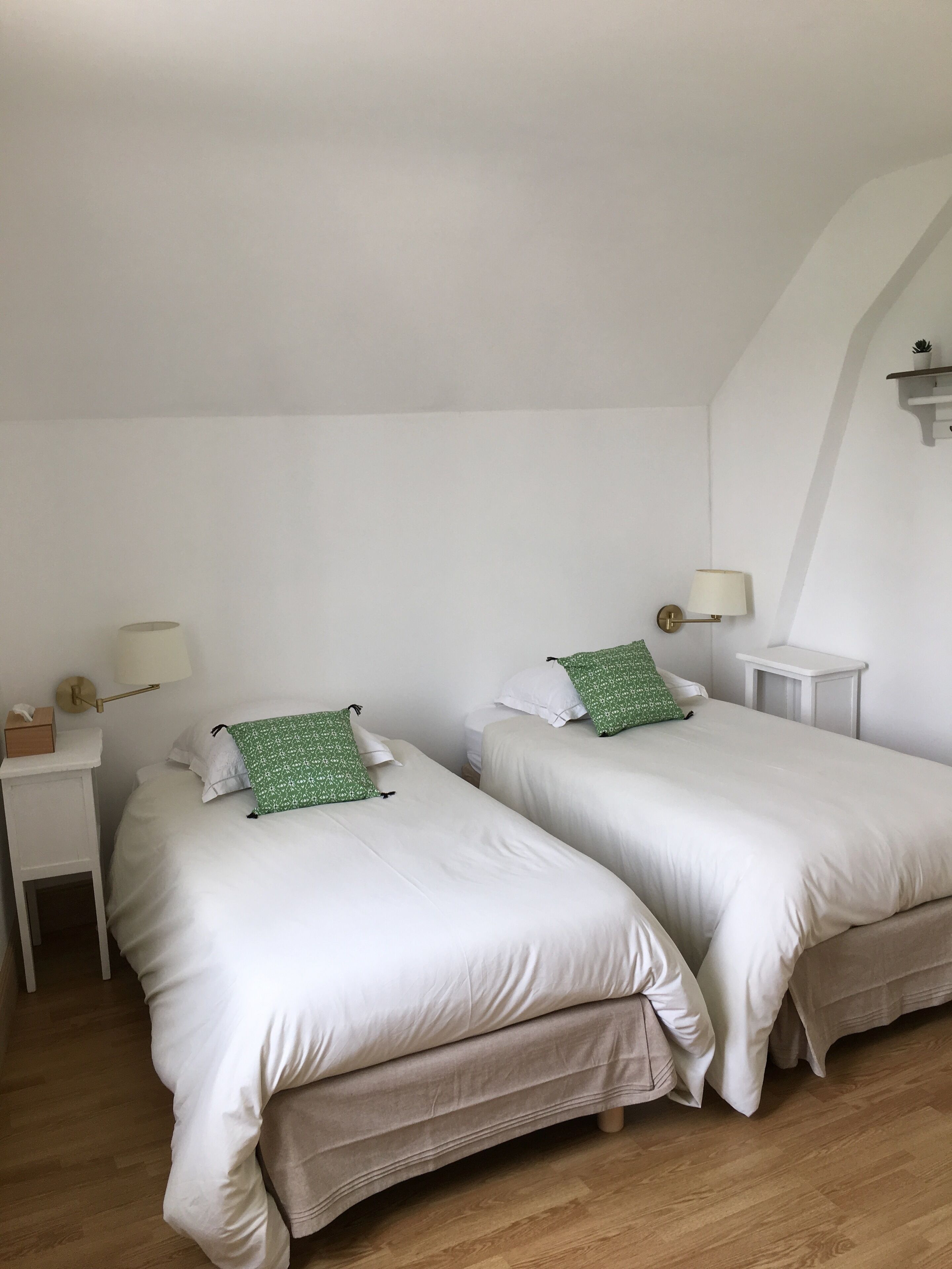 A room with two beds, a nightstand with a lamp, and a small shelf with a plant.