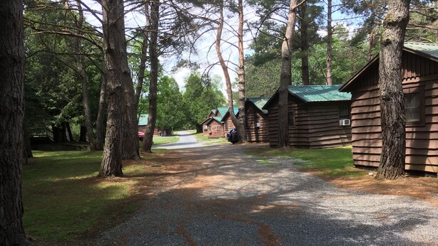 Un sendero de grava que conduce a cabañas de madera con techos verdes, rodeado de altos árboles.