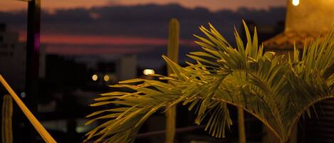 Terraza en la azotea