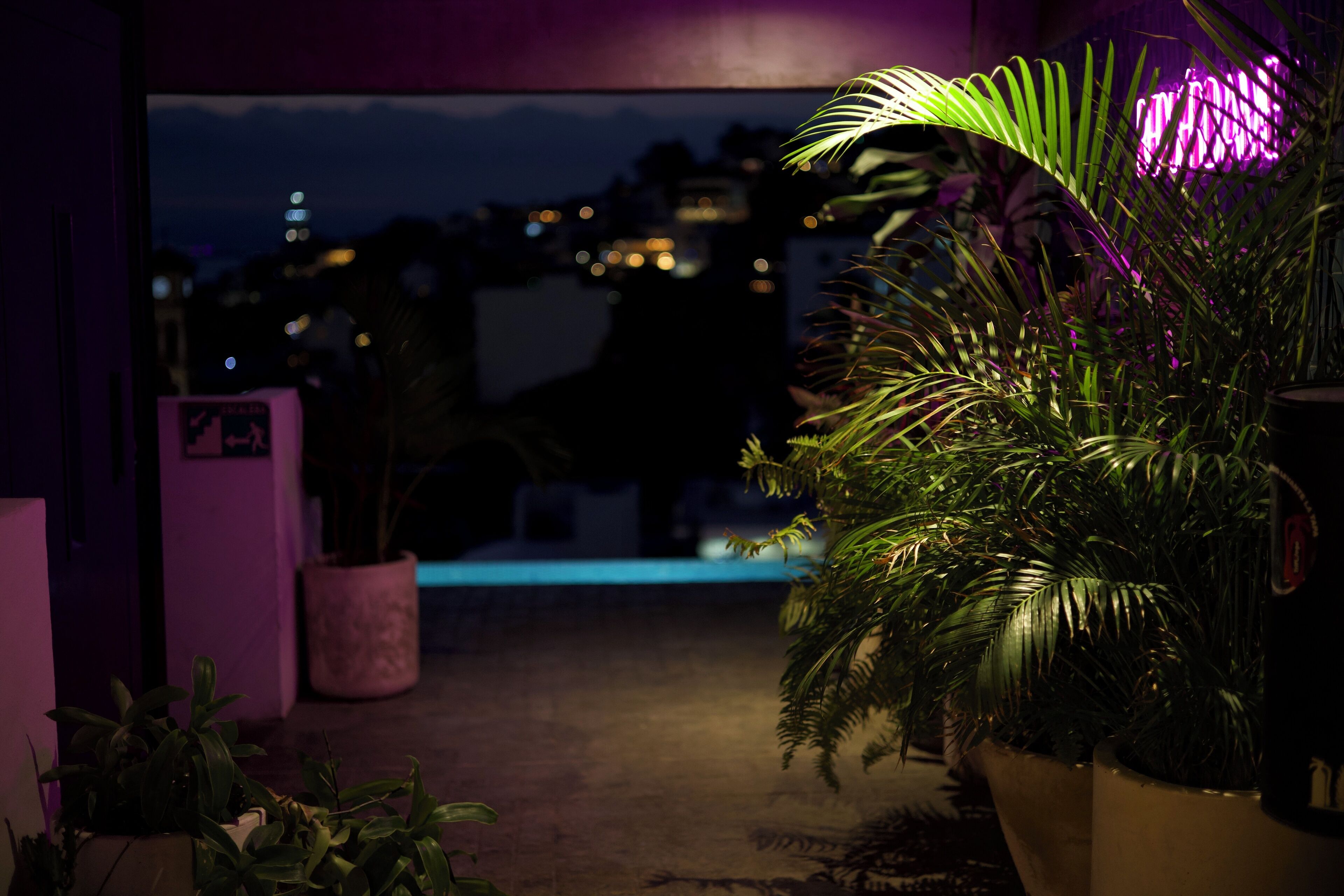 outdoor pool, pool loungers