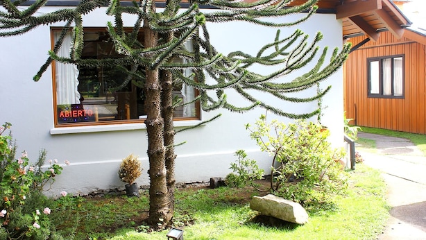 Terrace/patio - Hotel El Coihue (Pucón)
