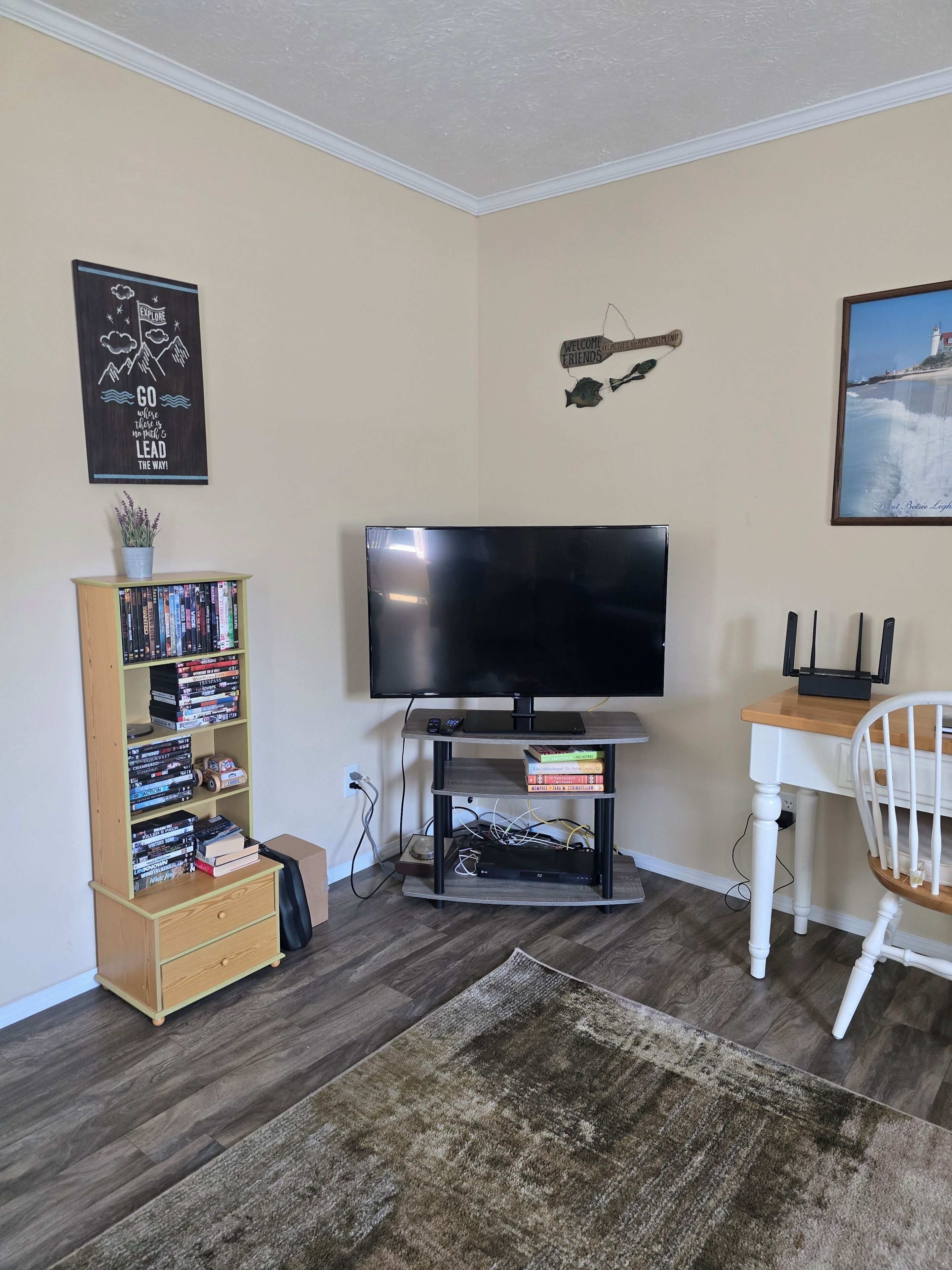 A living room with a flat-screen TV on a stand, a bookshelf, a white chair, and a rug.