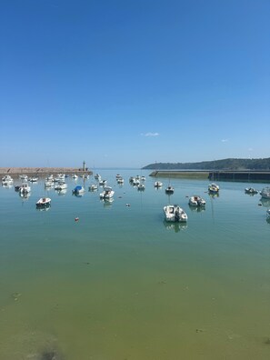 Un port de plaisance où sont amarrés de nombreux bateaux, avec une eau calme et un phare visible au loin.