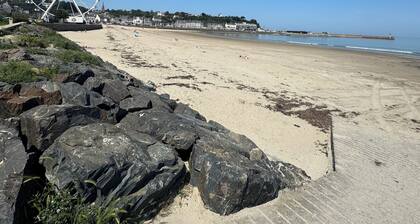Charming Studio Facing the Port and 100 m from the Beach