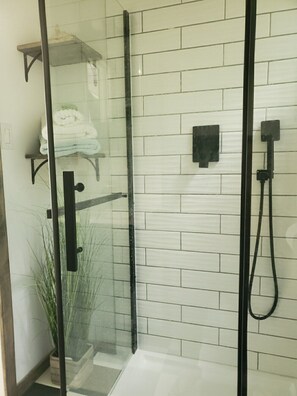 Regadera, secadora de cabello, jabón, papel de baño 