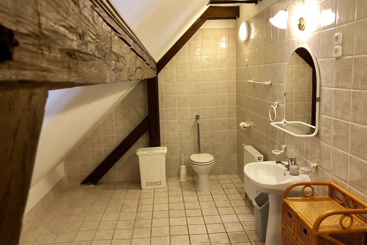 Une salle de bain avec des toilettes, un lavabo et un miroir. On y trouve une poubelle et un panier en osier. Le sol est carrelé et les murs sont recouverts de carreaux de couleur claire.