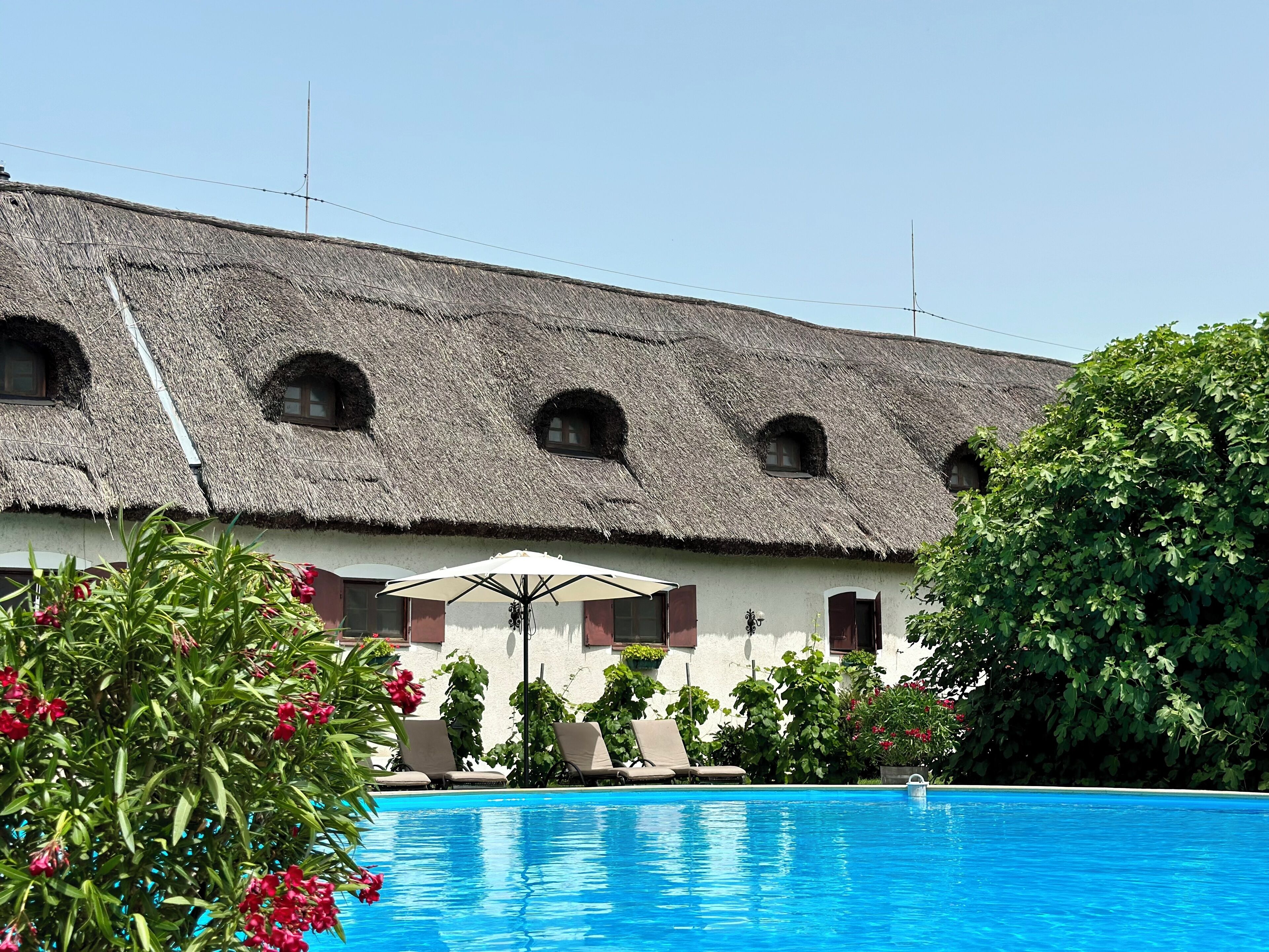 Außenpool (je nach Saison geöffnet), Sonnenschirme, Liegestühle