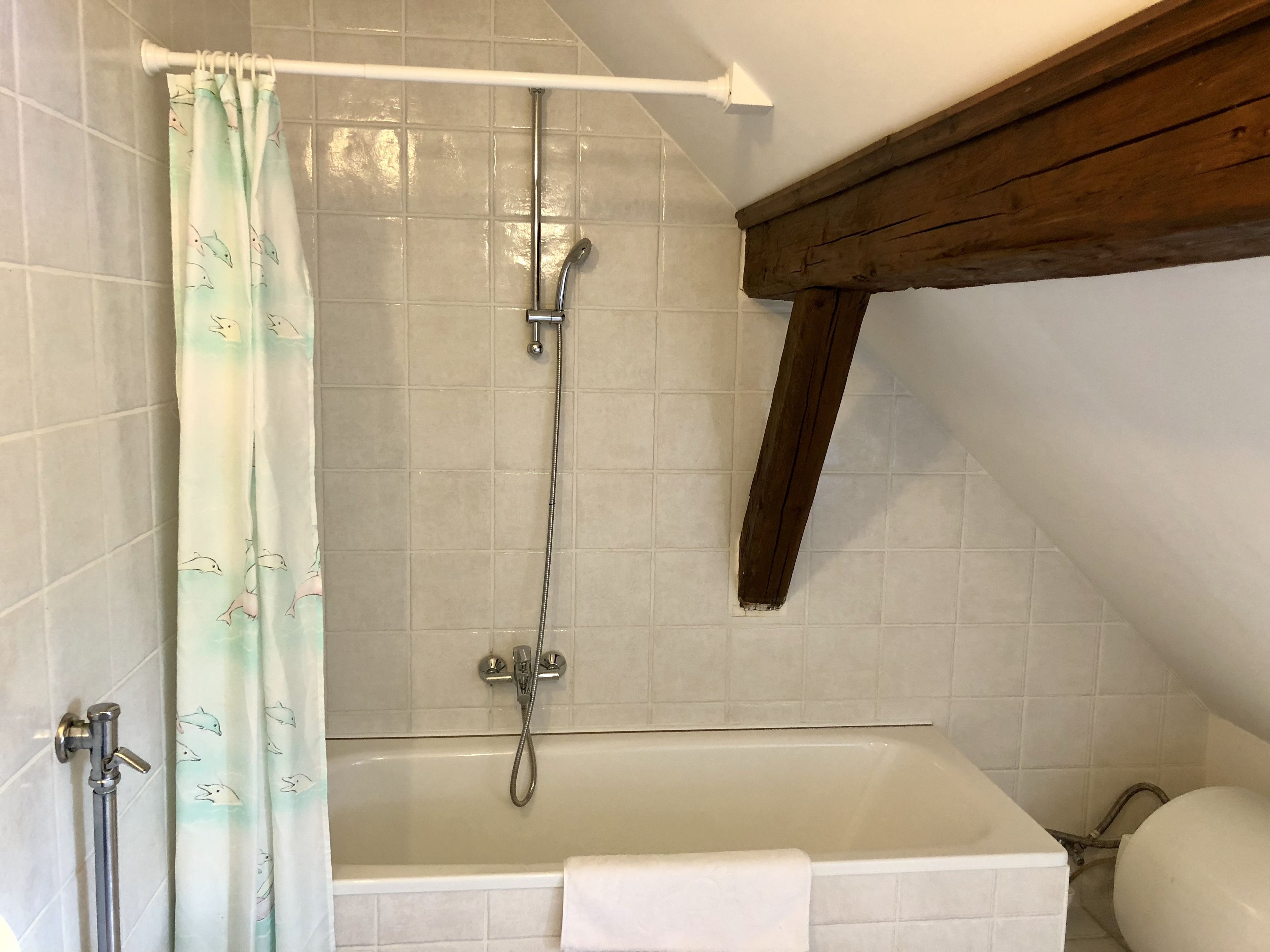 Un baño con bañera, ducha y un travesaño de madera.
