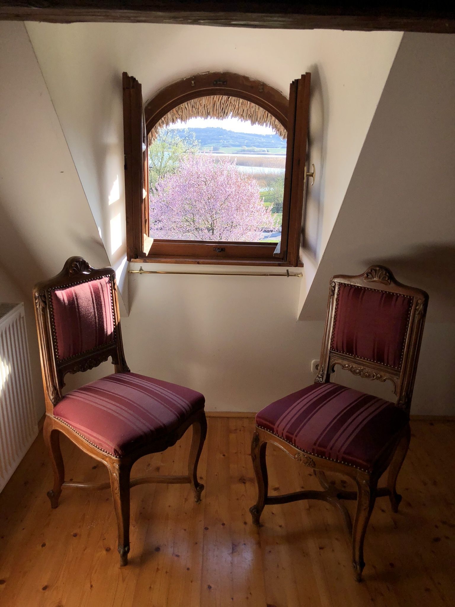 A room with two ornate chairs and a window overlooking a garden.