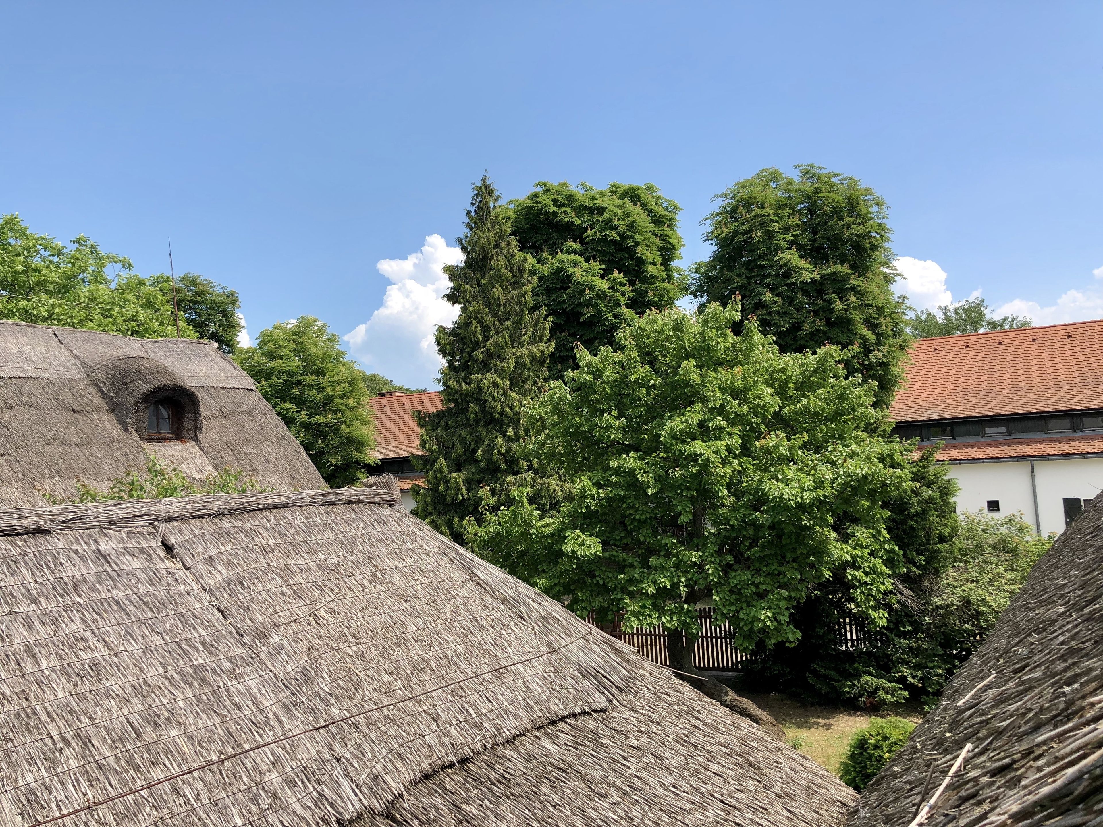 A traditional thatched-roof building with a small window, surrounded by lush greenery and a clear blue sky.