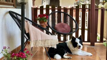 Un chien allongé sur une terrasse carrelée, avec une chaise et une lampe suspendue.