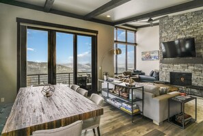 智能電視、壁爐、DVD 播放機、書籍