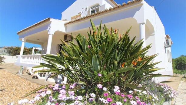 A white villa with a tiled roof, a covered porch, and a garden with various plants and flowers. - Villa in Algarve with complete privacy (moncarapacho,)