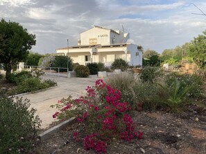 Terrain de l’hébergement 